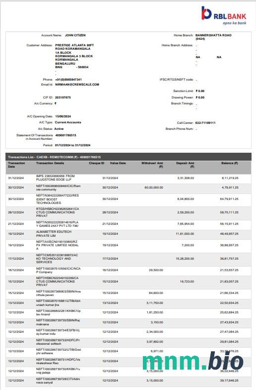 India RBL Bank statement szablon Worda i PDF scr
